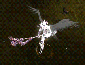 DW Soul Barrier