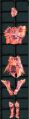 Thumbnail for version as of 13:50, 10 September 2023